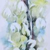 Yucca 1