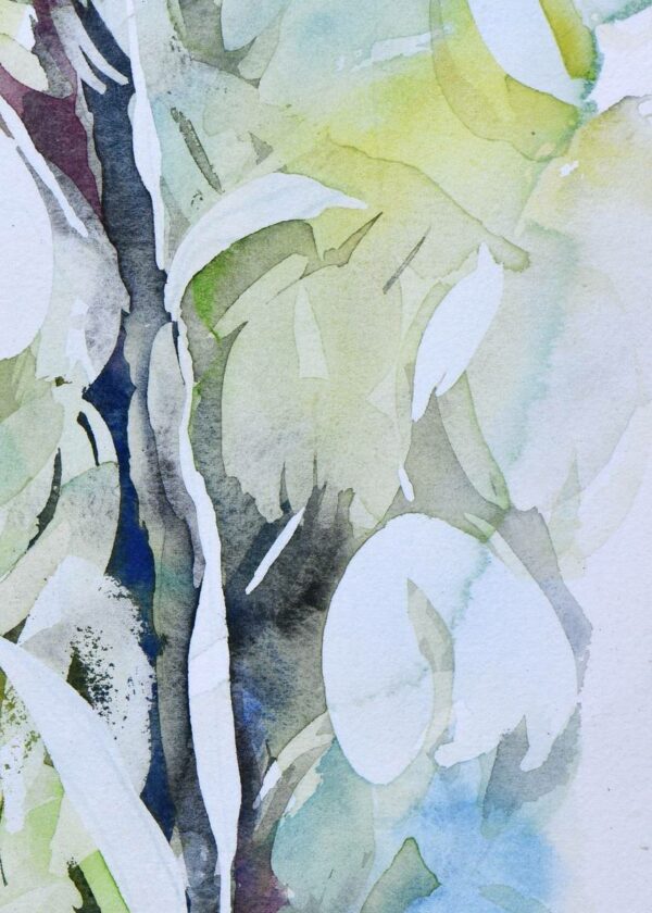 Yucca 1 – Image 3