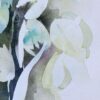 Yucca 1 – Image 4