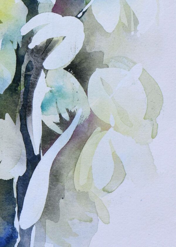 Yucca 1 – Image 4
