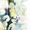 Yucca 2