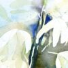 Yucca 2 – Image 2