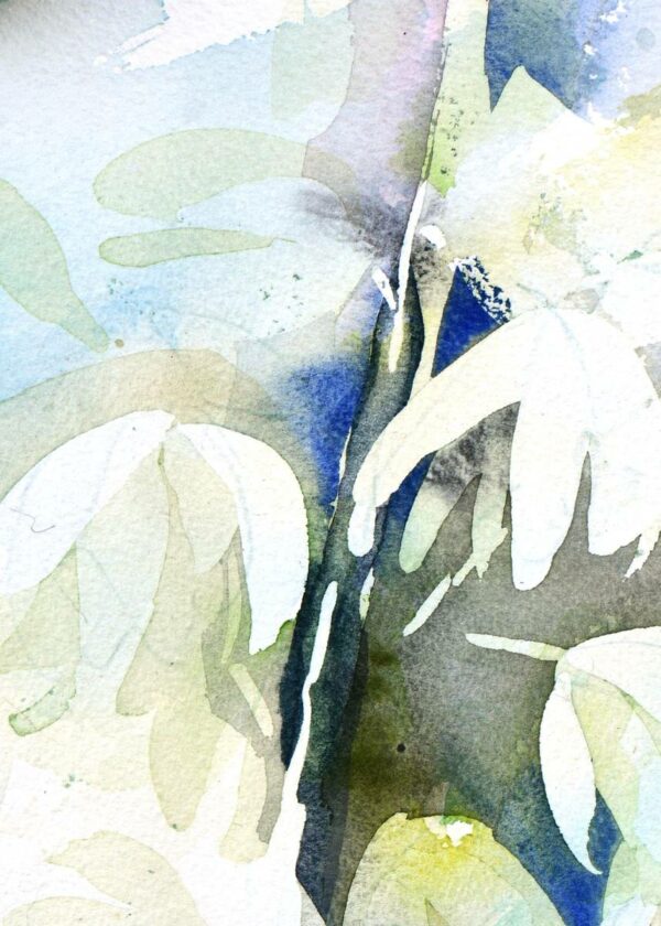 Yucca 2 – Image 2