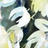 Yucca 2 – Image 4