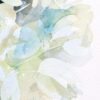 Yucca 2 – Image 5