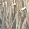 Herbes folles – Image 3