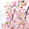 Sakura doré