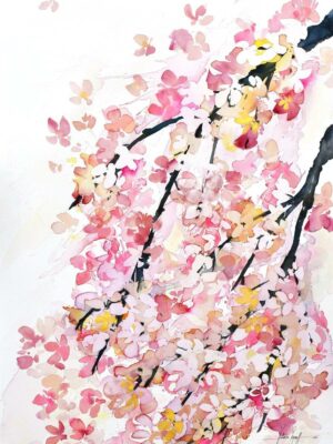 Sakura doré