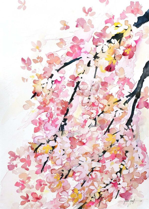 Sakura doré