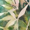 Lupins des montagnes – Image 4