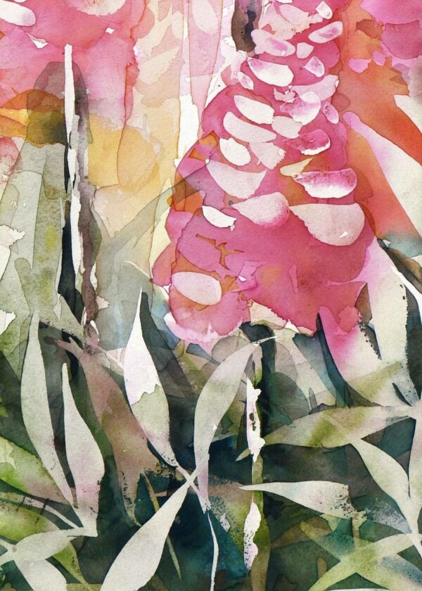 Lupins des montagnes – Image 5