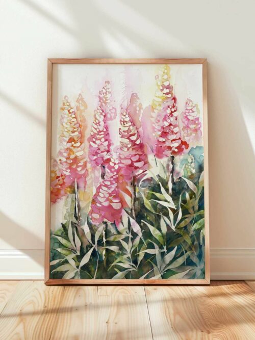 Lupins des montagnes