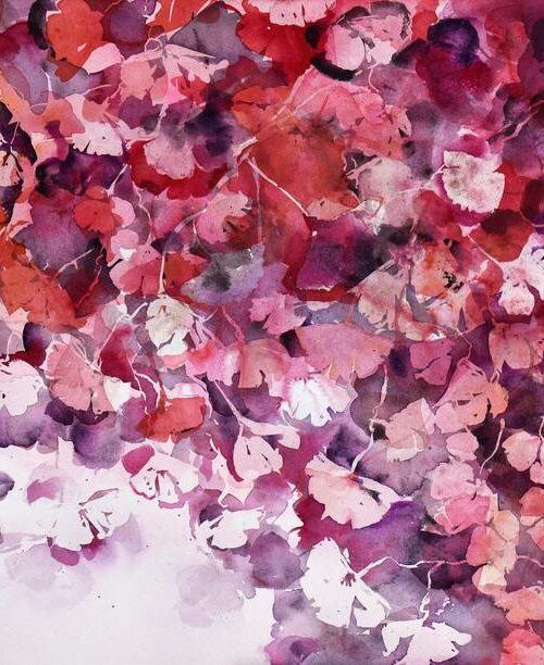 Ginkgo estival