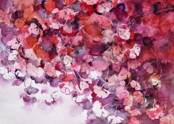 Ginkgo estival