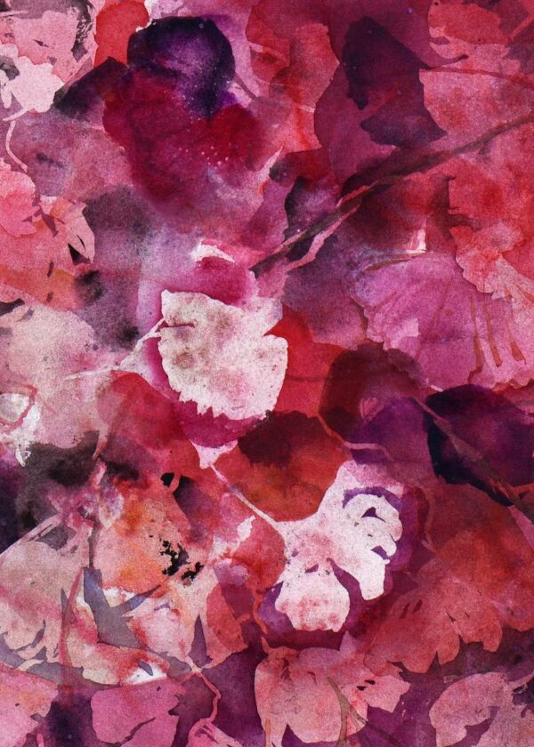 Ginkgo estival – Image 5
