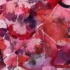 Ginkgo estival – Image 6