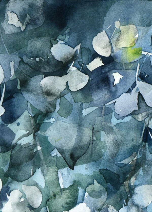 Aurore bleue – Image 2