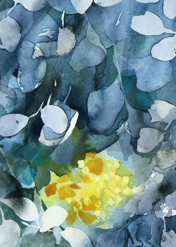 Aurore bleue – Image 4
