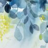 Aurore bleue – Image 5