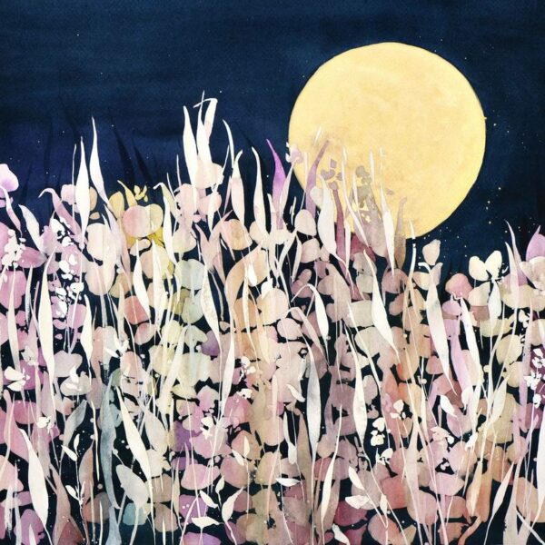 Lune blanche