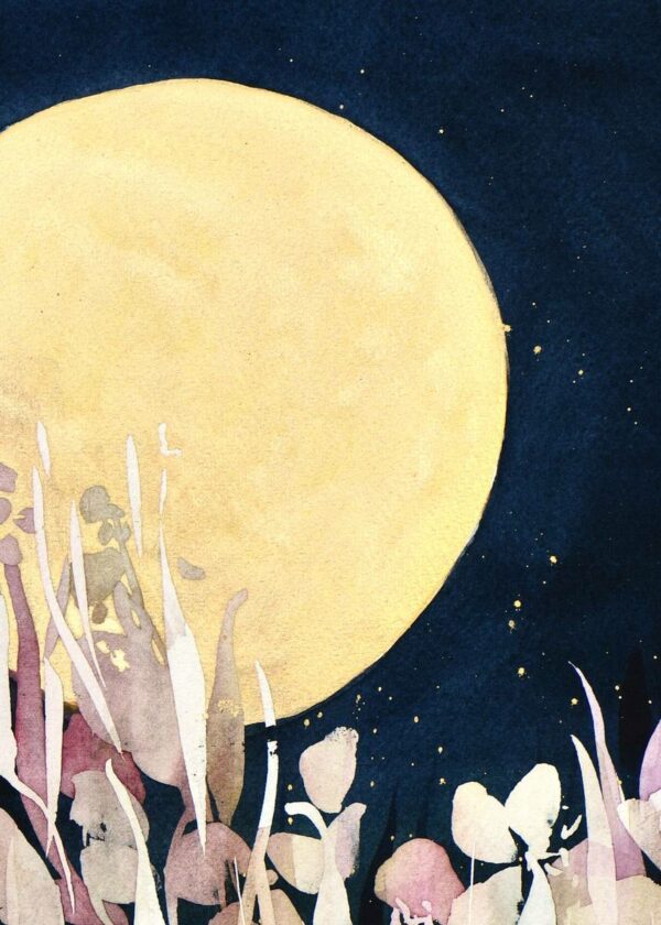 Lune blanche – Image 6