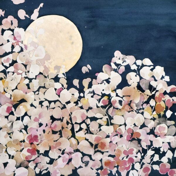 Lune douce