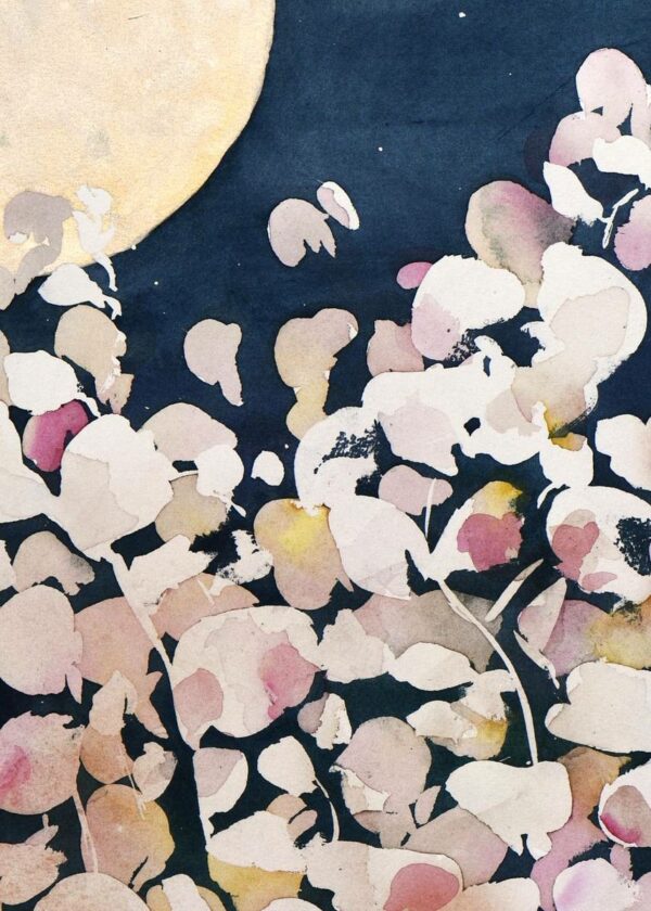 Lune douce – Image 3