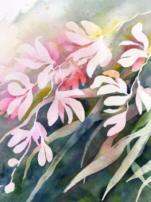 Tombée d’orchidées