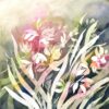 Bouquet d’orchidées